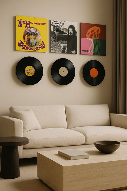 Album and record mount combo pack