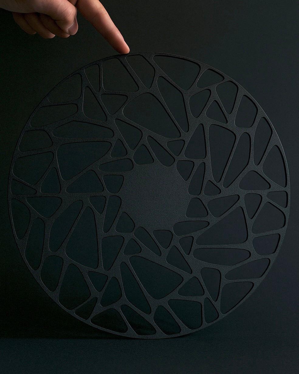 Album and record mount combo pack